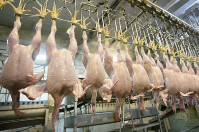 Beyaz et sektöründeki 4 firmaya 1,2 milyar lira ceza